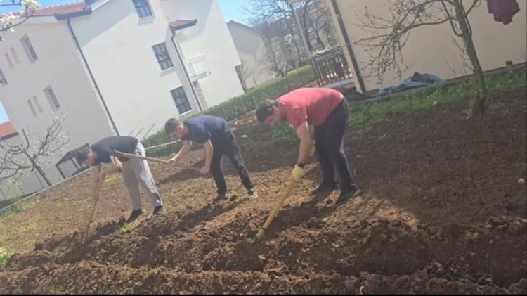 Od Oscara do motike: Slavni Širokobriježanin uzeo krumpir u svoje ruke!