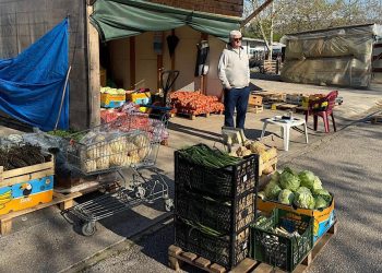 Čapljina: Cijene na Veletržnici u Tasovčićima u padu