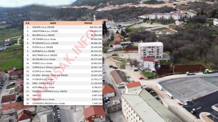 Donosimo TOP 20 najuspješnijih tvrtki u Grudama