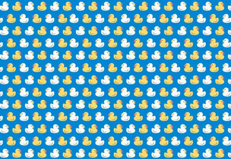 Mozgalica za najupornije: Pronađite patku sa čuperkom na glavi