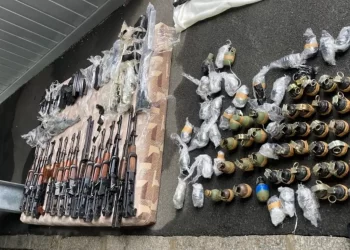 Uhićeno sedam osoba iz BiH zbog krijumčarenja oružja u EU