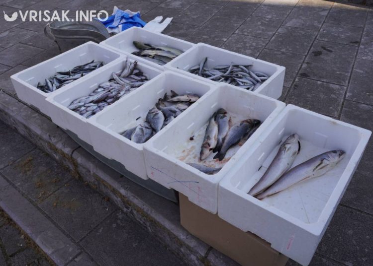 Široki Brijeg: Provjerili smo ponudu i cijene ribe u središtu grada