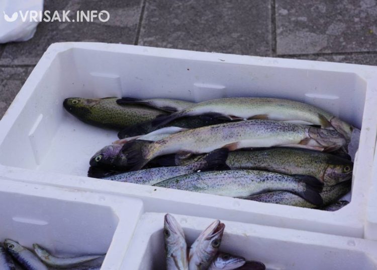 Široki Brijeg: Provjerili smo ponudu i cijene ribe u središtu grada