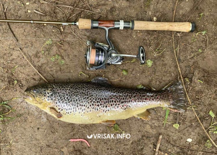 Širokobriježanin u rijeci Lištici ulovio odličan primjerak ribe od 1,5 kg