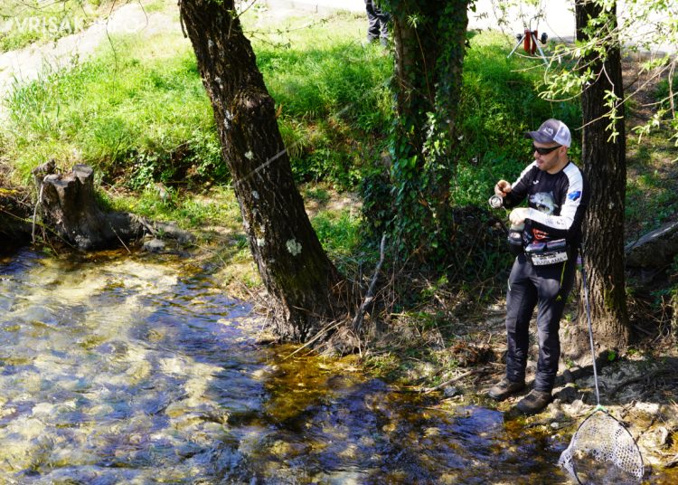 Čitluk: Na trgu održana molitva krunice Božjeg milosrđa
