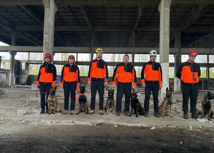 Širokobriješki GSS-ovac i pas Rea na korak do međunarodne licence