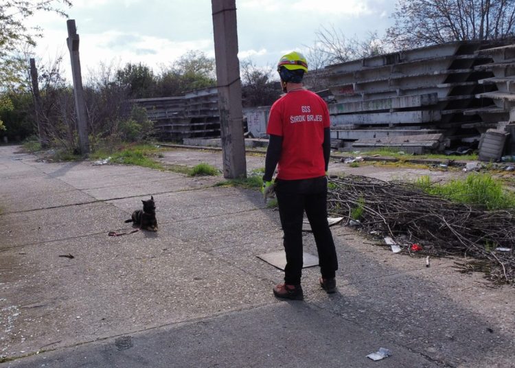 Širokobriješki GSS-ovac i pas Rea na korak do međunarodne licence