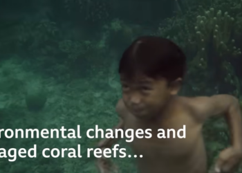 Narod iz dubina: Bajau i genetska prilagodba za život pod morem