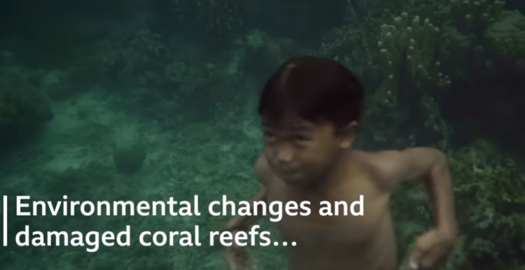 Narod iz dubina: Bajau i genetska prilagodba za život pod morem