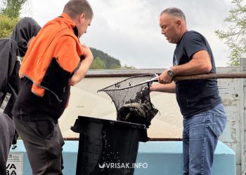 Revolut ostvario više od milijardu dolara prihoda