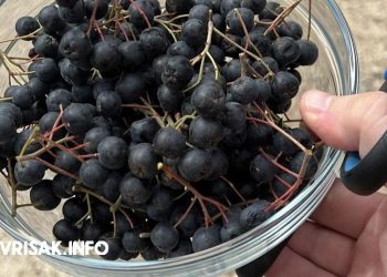 Imate više od 40? Ove 4 namirnice pomažu sagorjeti masnoće i očuvati energiju