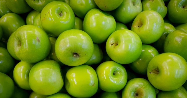 Ovih pet namirnica pridonose zdravlju bubrega