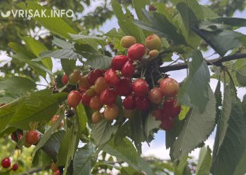 Mostar: Policija pronašla i kaznila vozača koji je pretjecao kolonu