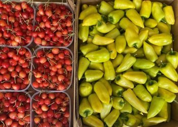 Cijene na veletržnici u Čapljini: U ponudi trešnje i domaće paprike
