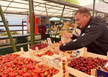 Evo koliko koštaju jagode i trešnje na čapljinskoj Veletržnici