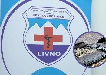 (VIDEO) Evo što uraditi u slučaju ugriza zmije