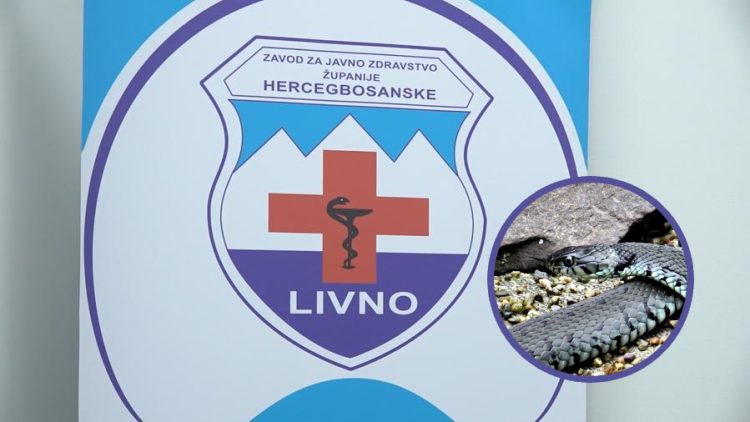 (VIDEO) Evo što uraditi u slučaju ugriza zmije