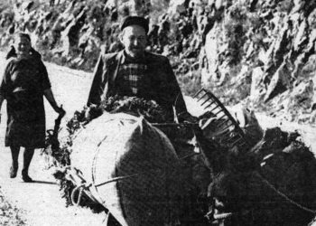 Hercegovačka svakodnevnica: Kočerin u ožujku 1991.