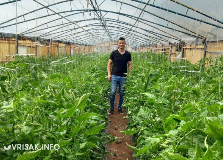 Političar i poljoprivrednik iz Širokog Brijega: Proizvodim najslađe lubenice