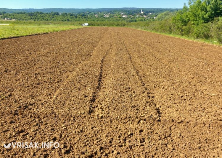 Političar i poljoprivrednik iz Širokog Brijega: Proizvodim najslađe lubenice