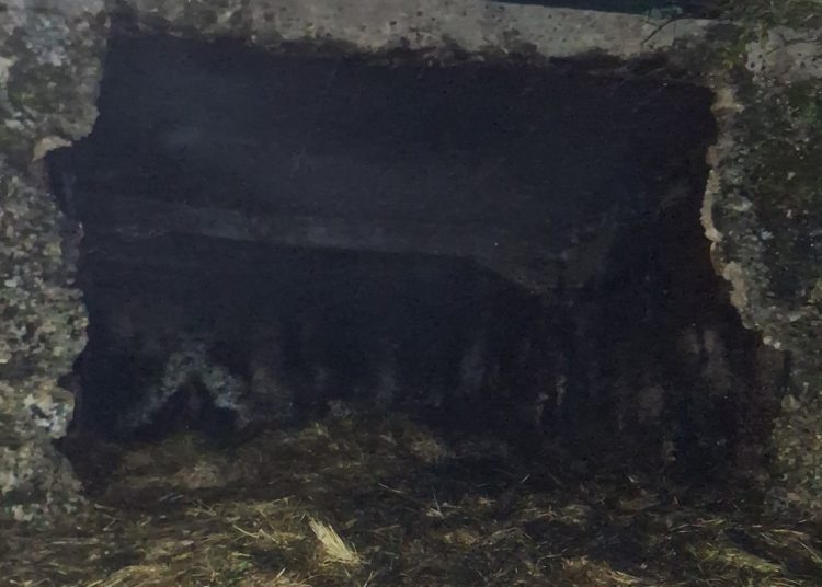 Foto: Vatrogasci Ljubuški