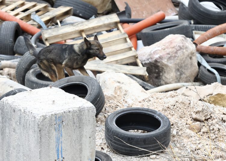 Širokobriješki GSS-ovac i pas Rea sudjelovali na treningu za potražne pse