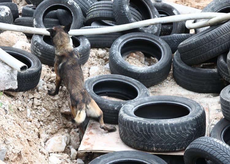 Širokobriješki GSS-ovac i pas Rea sudjelovali na treningu za potražne pse