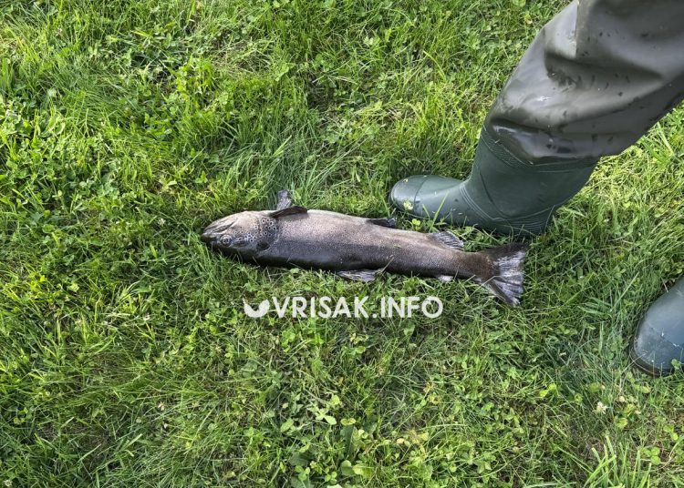 Široki Brijeg: Mladi ribič u Borku upecao primjerak od 2,5 kilograma