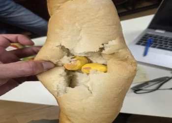 Policija u Metkoviću otkrila drogu u štruci kruha