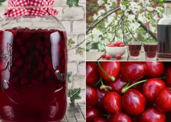 Recept za najbolji liker od trešanja koji morate probati