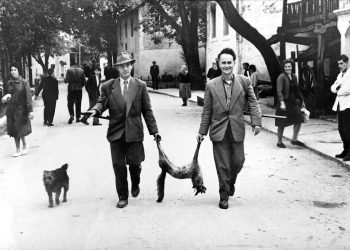 Široki Brijeg: Povijesna fotografija ulovljene lisice iz 1960-ih