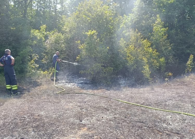 Foto: DVD Ljuti Dolac