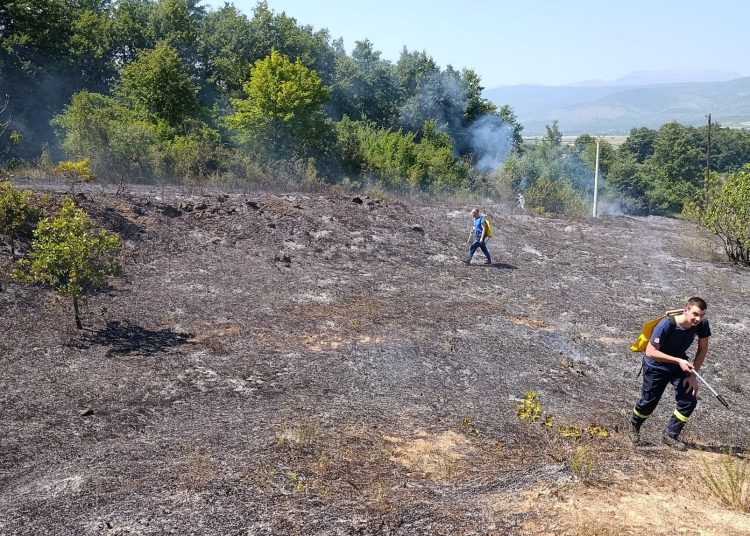 Foto: DVD Ljuti Dolac