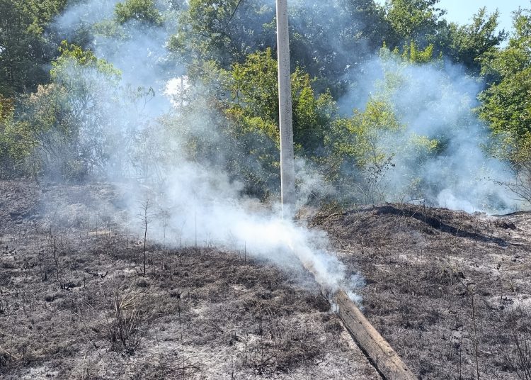 Foto: DVD Ljuti Dolac