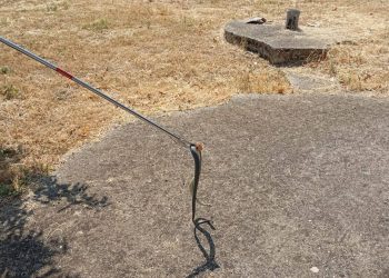 Zmija u kući u Grabu: Brza intervencija ljubuških vatrogasaca spriječila paniku