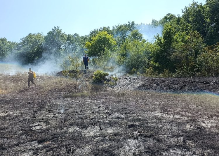 Foto: DVD Ljuti Dolac
