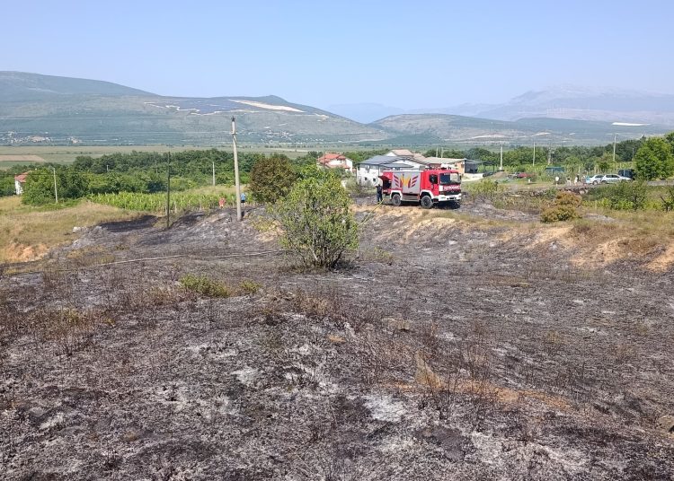 Foto: DVD Ljuti Dolac