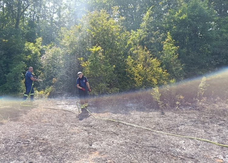 Foto: DVD Ljuti Dolac