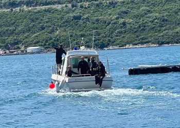 Lažna uzbuna u Neumu: Glavata želva izazvala paniku među kupačima