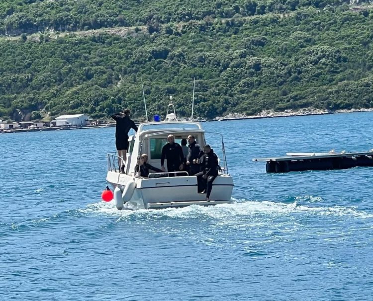 Lažna uzbuna u Neumu: Glavata želva izazvala paniku među kupačima