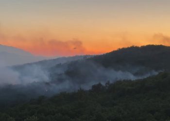AirTractor pomaže u gašenju velikog požara kod Gruda