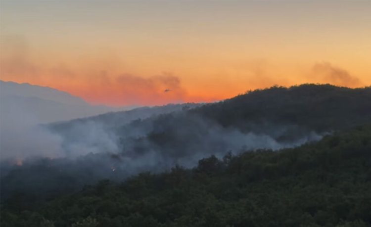 AirTractor pomaže u gašenju velikog požara kod Gruda