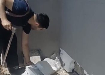 Čapljina: Vatrogasci uklonili četiri zmije iz fasade obiteljske kuće