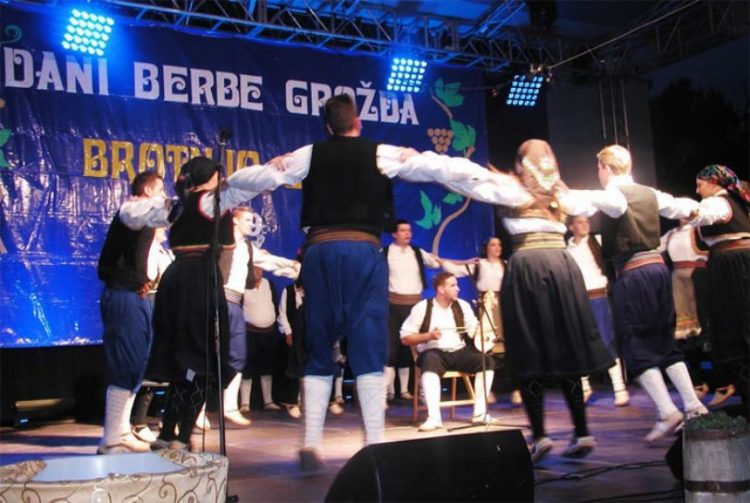 Čitluk: Objavljen program manifestacije Dani berbe grožđa