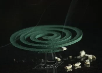 Budite oprezni: Spirala protiv komaraca uzrokovala požar u kući