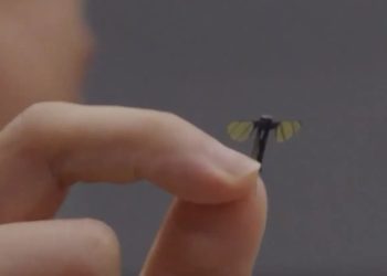 Pogledajte kako izgleda: Kinezi napravili dron veličine komarca