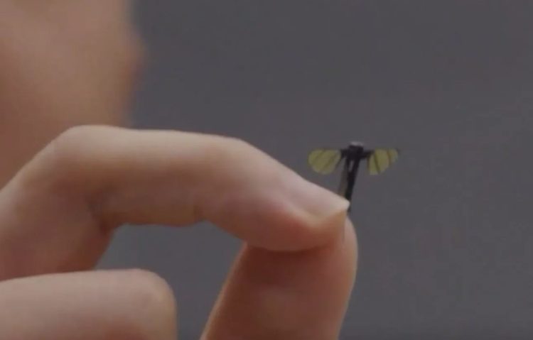 Pogledajte kako izgleda: Kinezi napravili dron veličine komarca