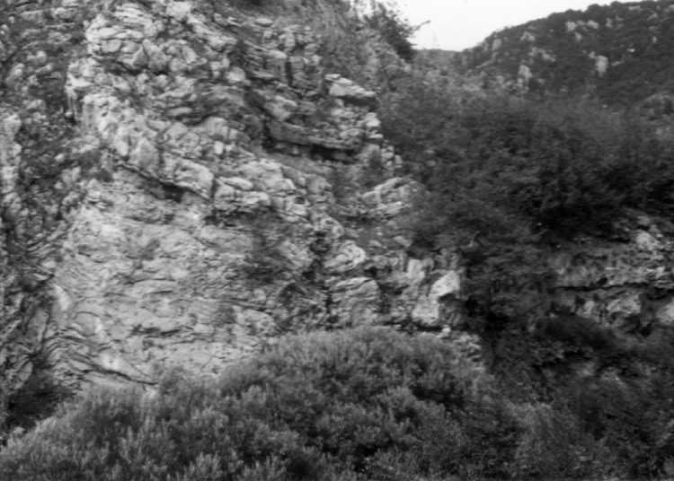 Foto: Digitalni arhiv Široki Brijeg