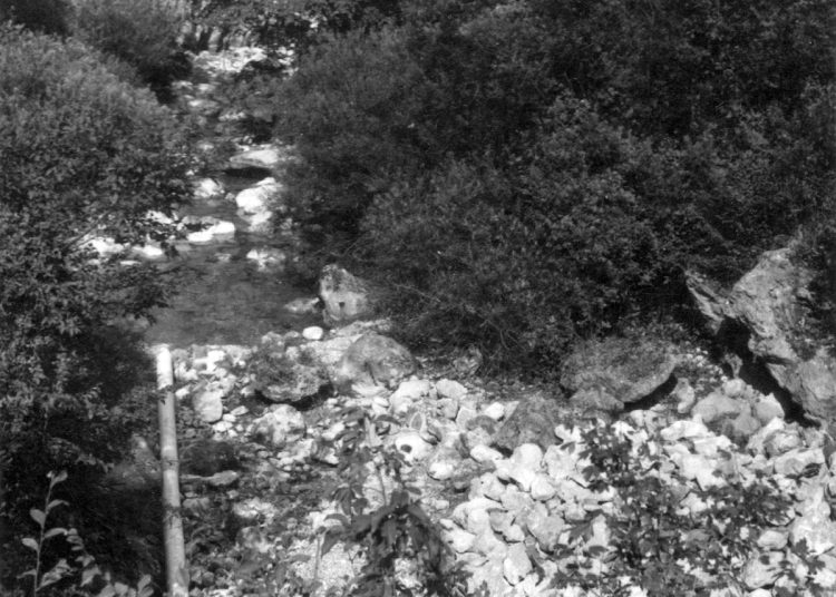 Foto: Digitalni arhiv Široki Brijeg