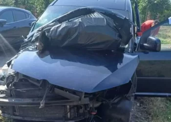 Kombi pun životinja iz BiH doživio prometnu nezgodu u Italiji